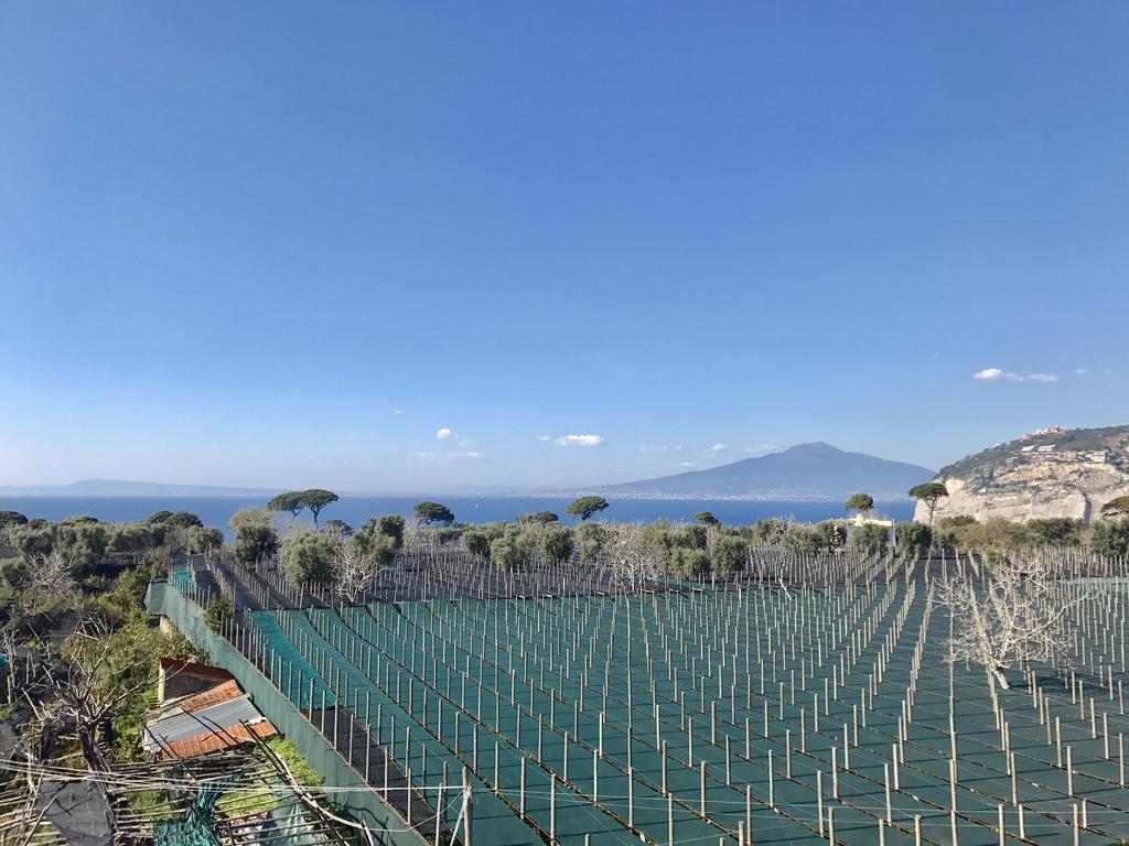 Estate4Home - Villa Lina Sant'Agnello Ngoại thất bức ảnh